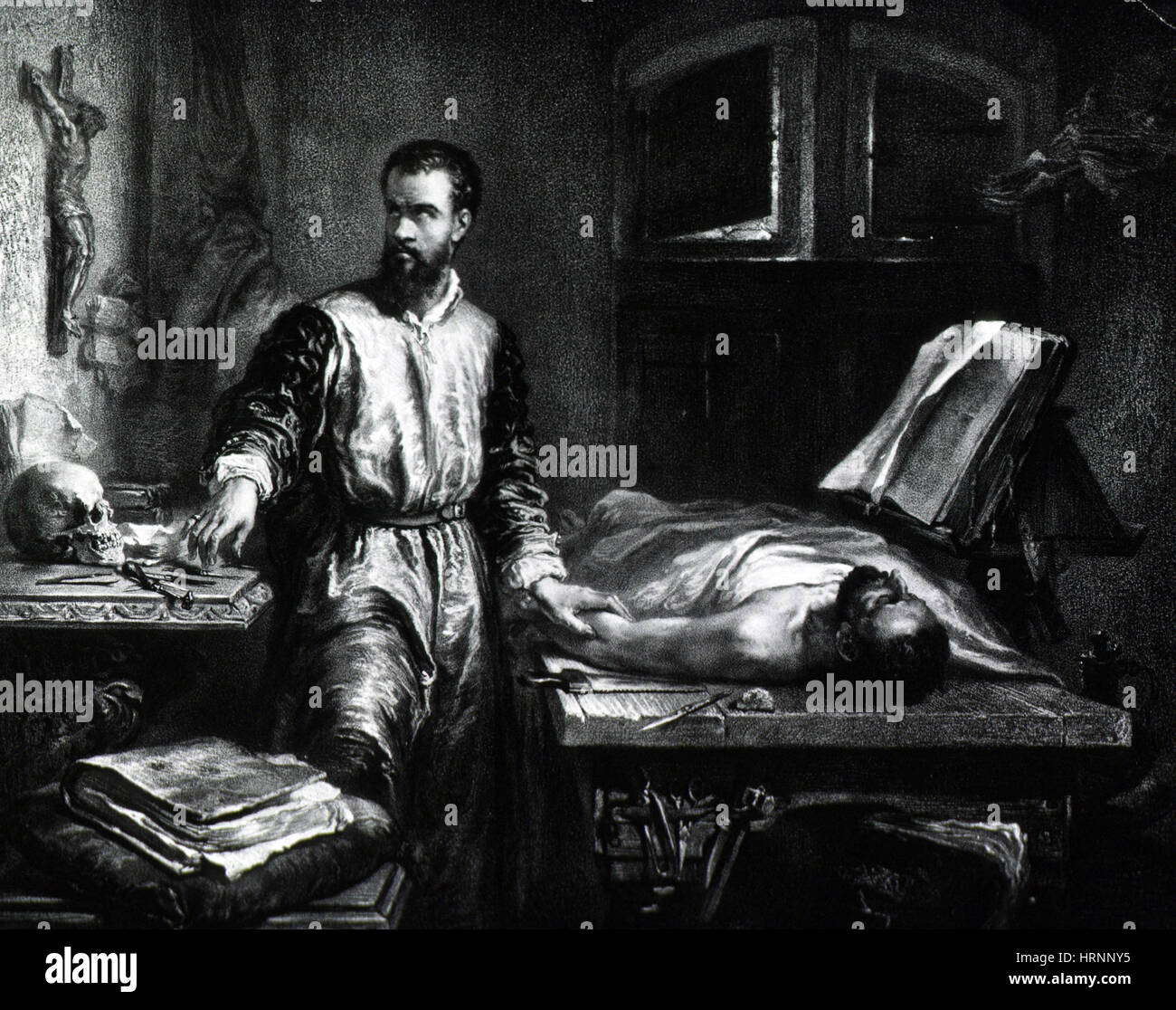 Andreas Vesalius, Flemish Anatomist Stock Photo