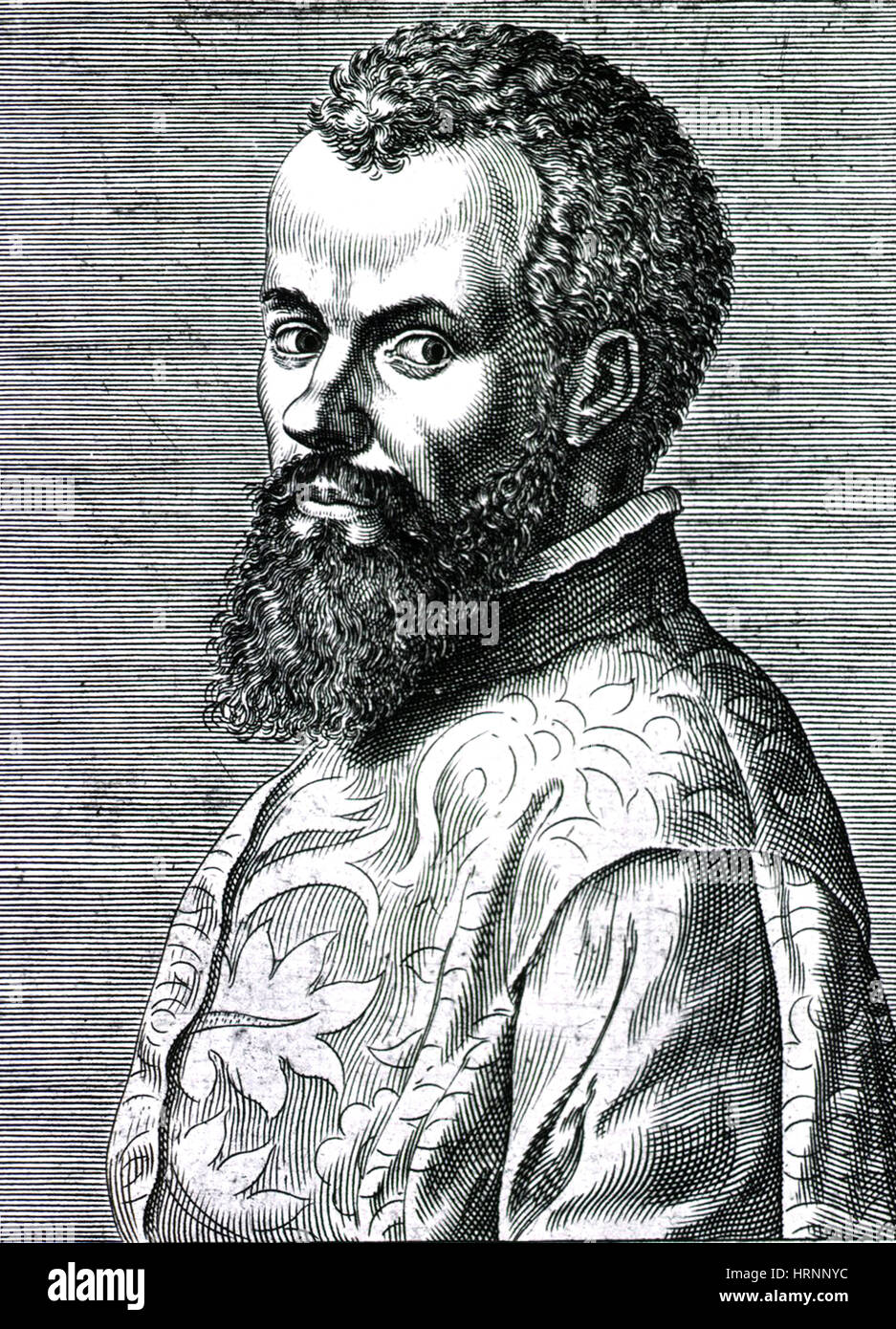 Andreas Vesalius, Flemish Anatomist Stock Photo