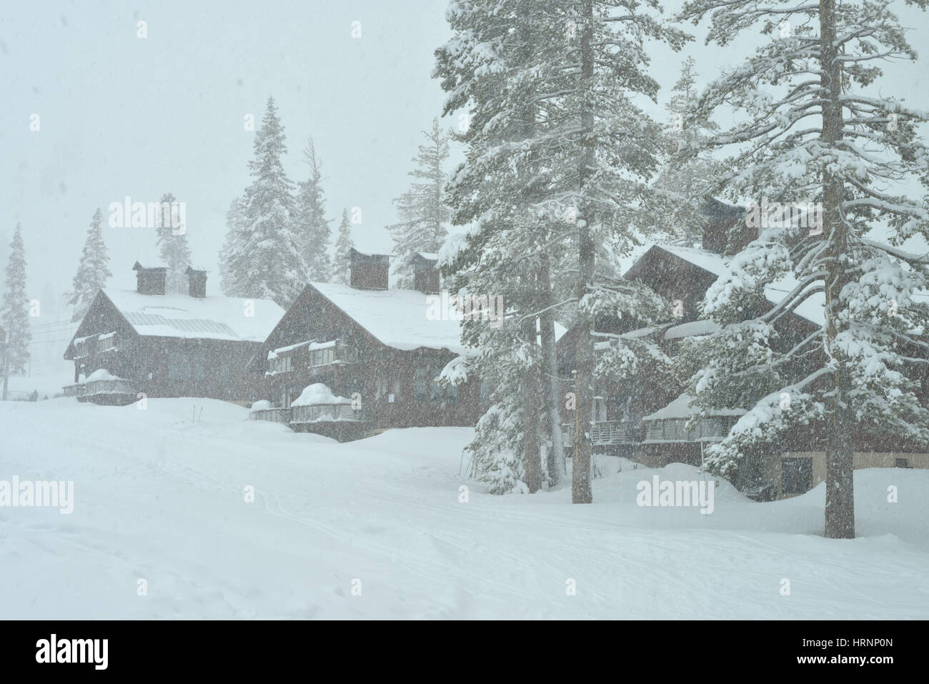 Sugar bowl resort hires stock photography and images Alamy