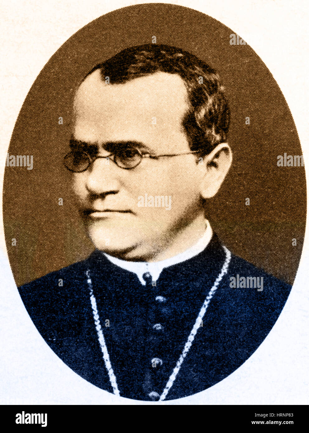 Gregor Mendel, Father of Genetics Stock Photo - Alamy