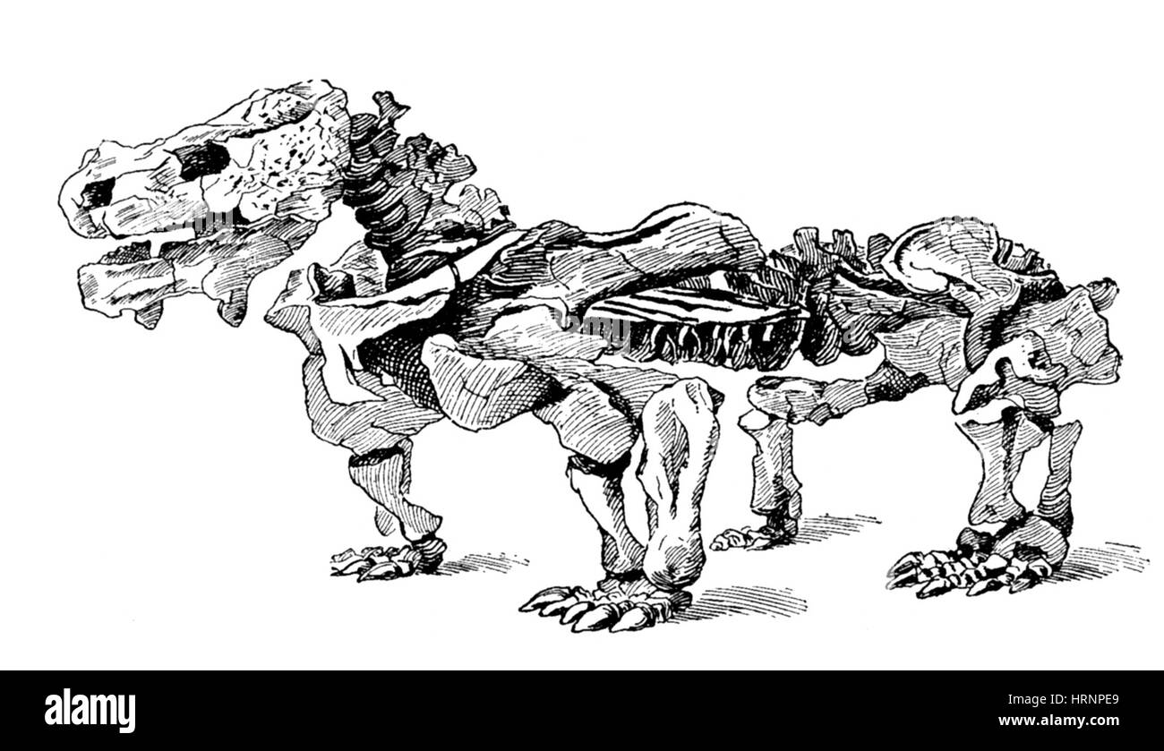 Pareiasaurus Stock Photo