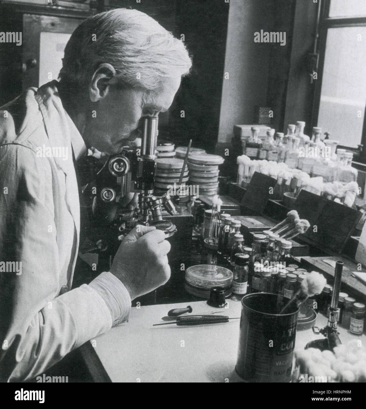 Alexander Fleming, Scottish Biologist Stock Photo