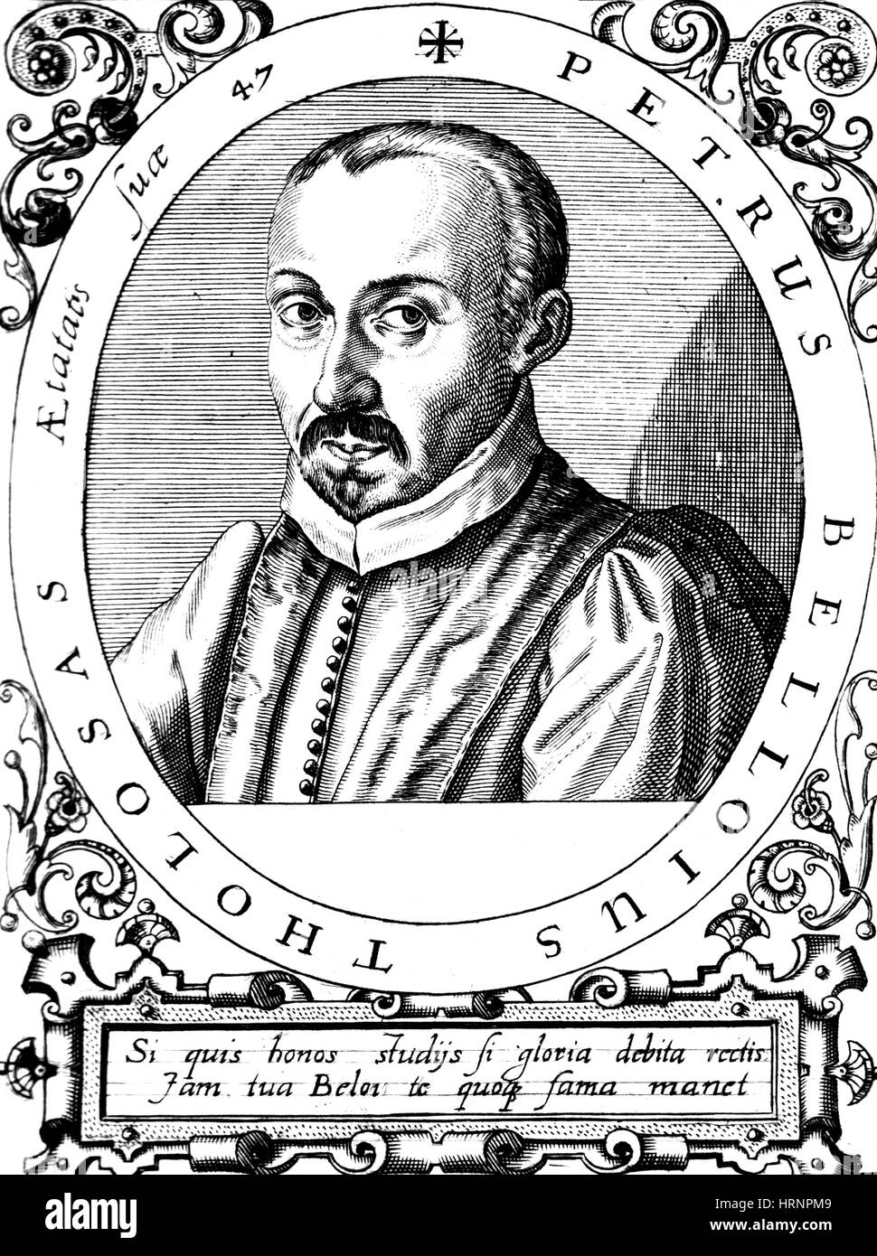 Belon Stock Photos & Belon Stock Images Alamy