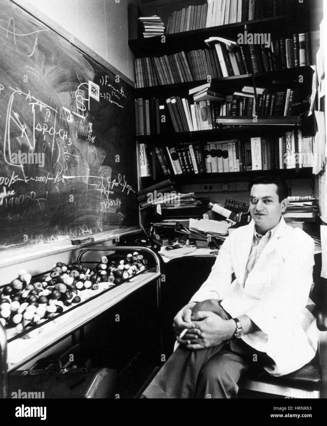 Marshall Warren Nirenberg, American Geneticist Stock Photo