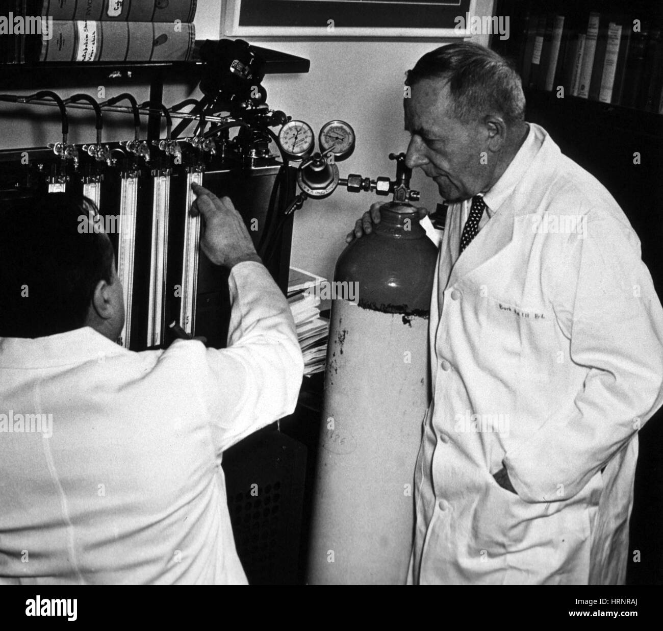 Otto Heinrich Warburg, German Physiologist Stock Photo