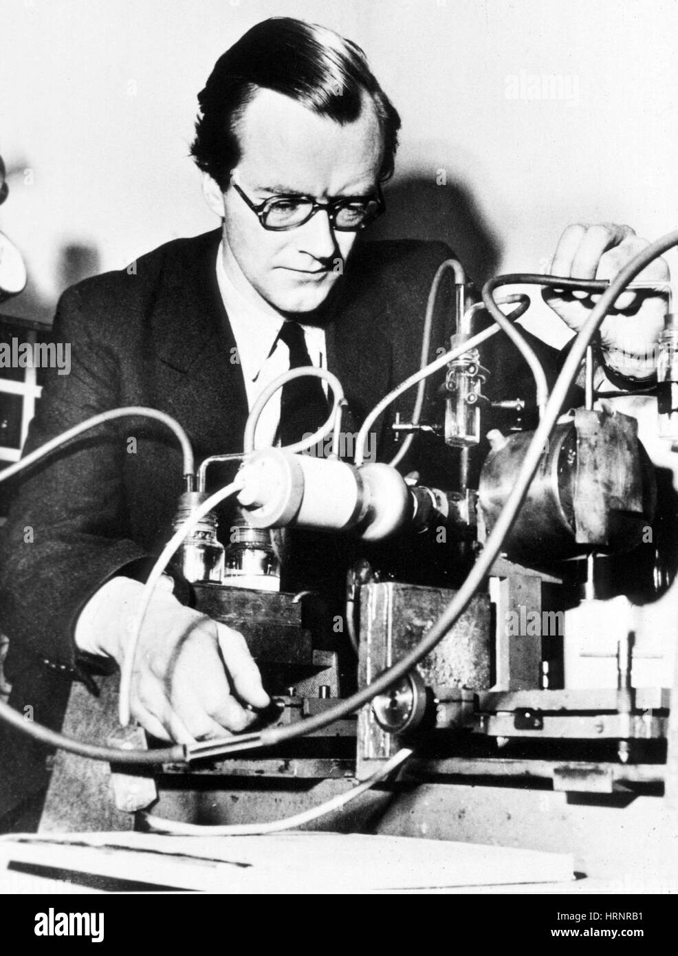 Maurice Wilkins, New Zealand Physicist and Molecular Biologist Stock