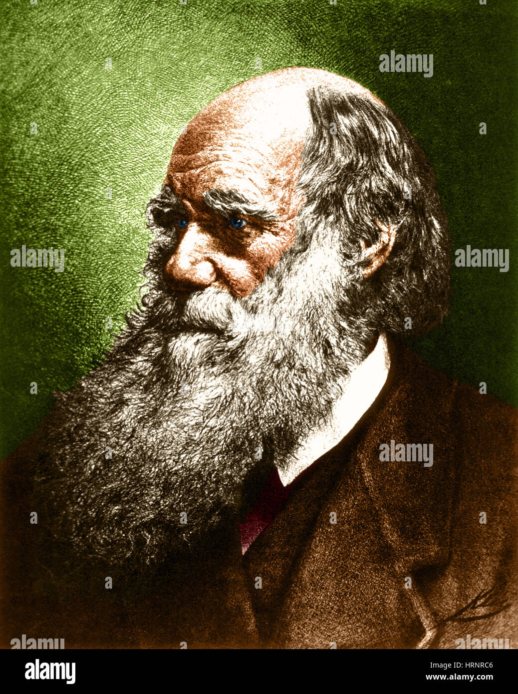 Charles Robert Darwin, English Naturalist Stock Photo Alamy