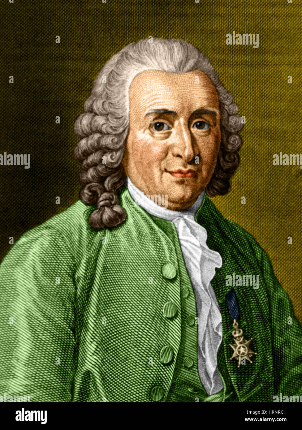 Father of taxonomy hi-res stock photography and images - Alamy Father of taxonomy hi-res stock photography and images - Alamy