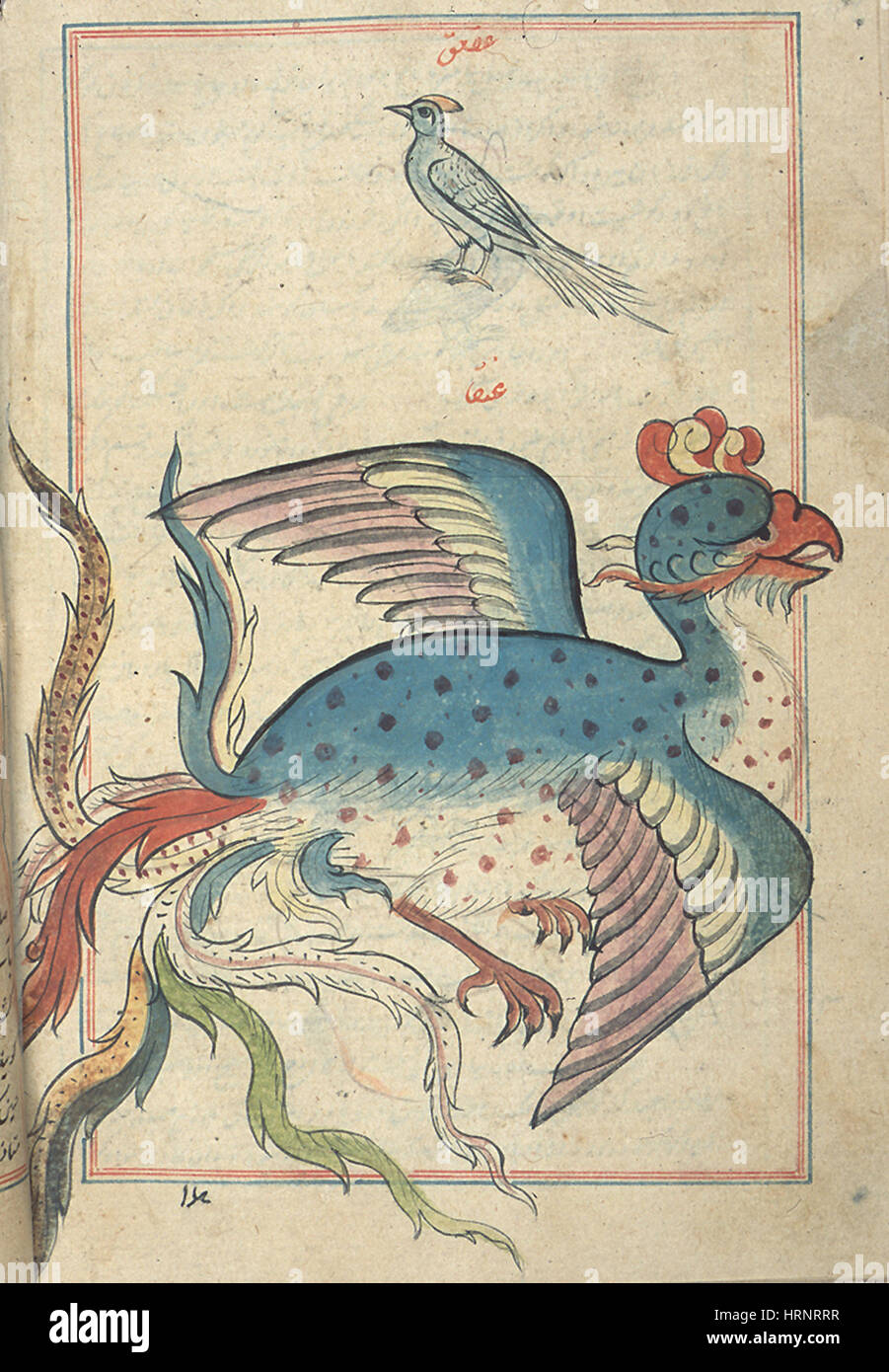 Islamic Mythical Bird, Simurgh, 17th Century Stock Photo
