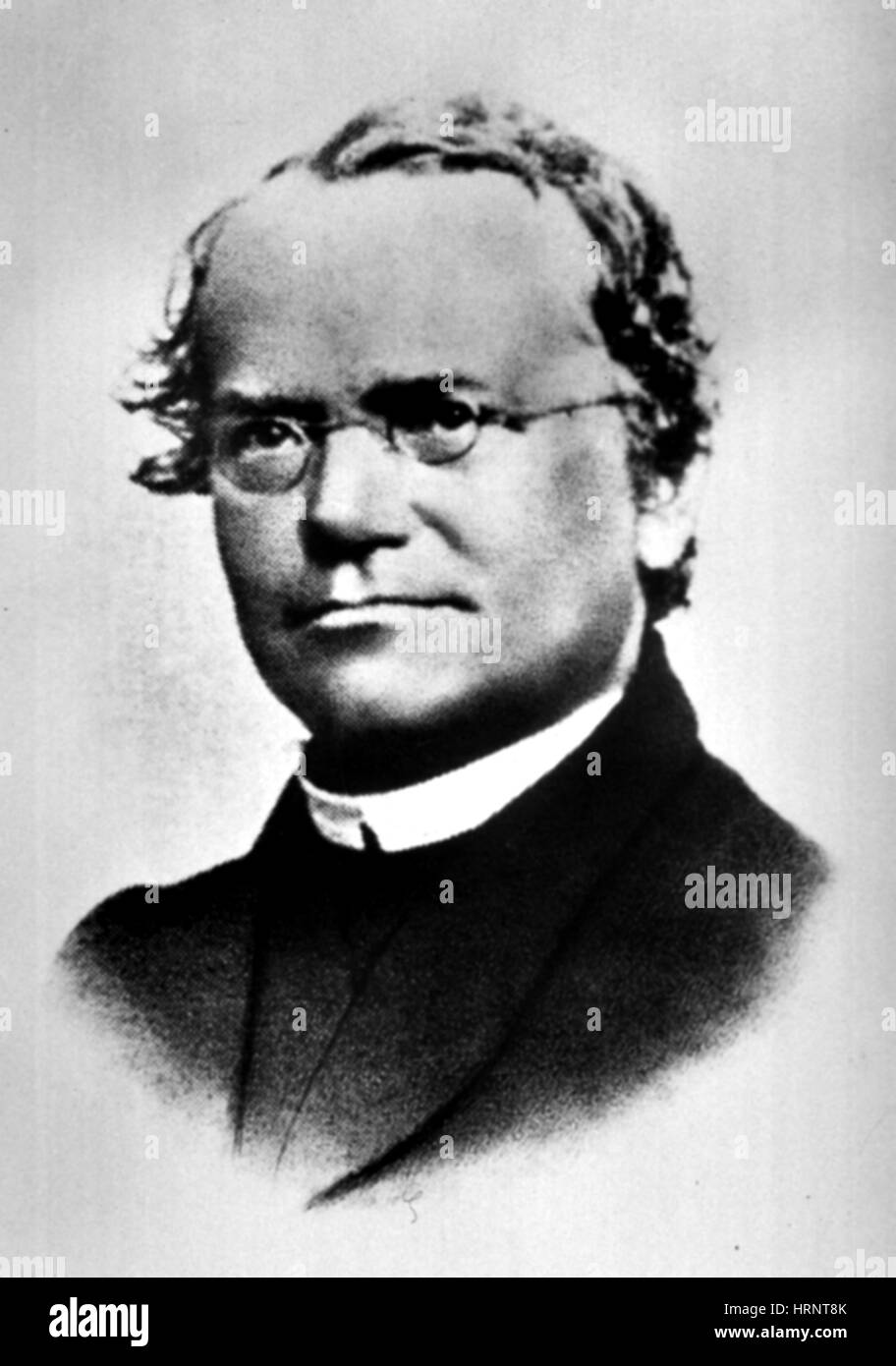Gregor Mendel, Father of Genetics Stock Photo