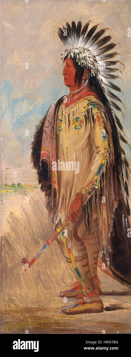 Plains indian warrior hi-res stock photography and images - Alamy