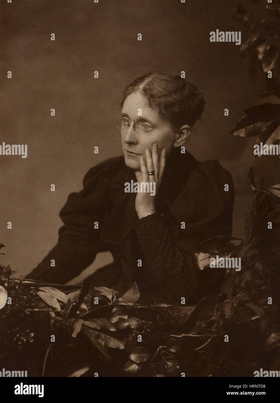 Frances Willard, American Reformer Stock Photo Alamy
