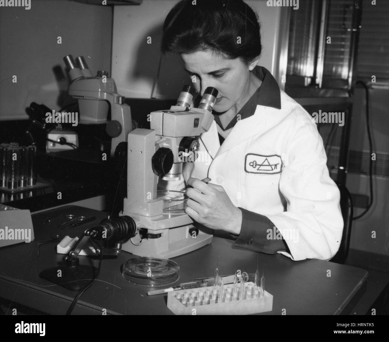 Beatrice Mintz, American Embryologist Stock Photo