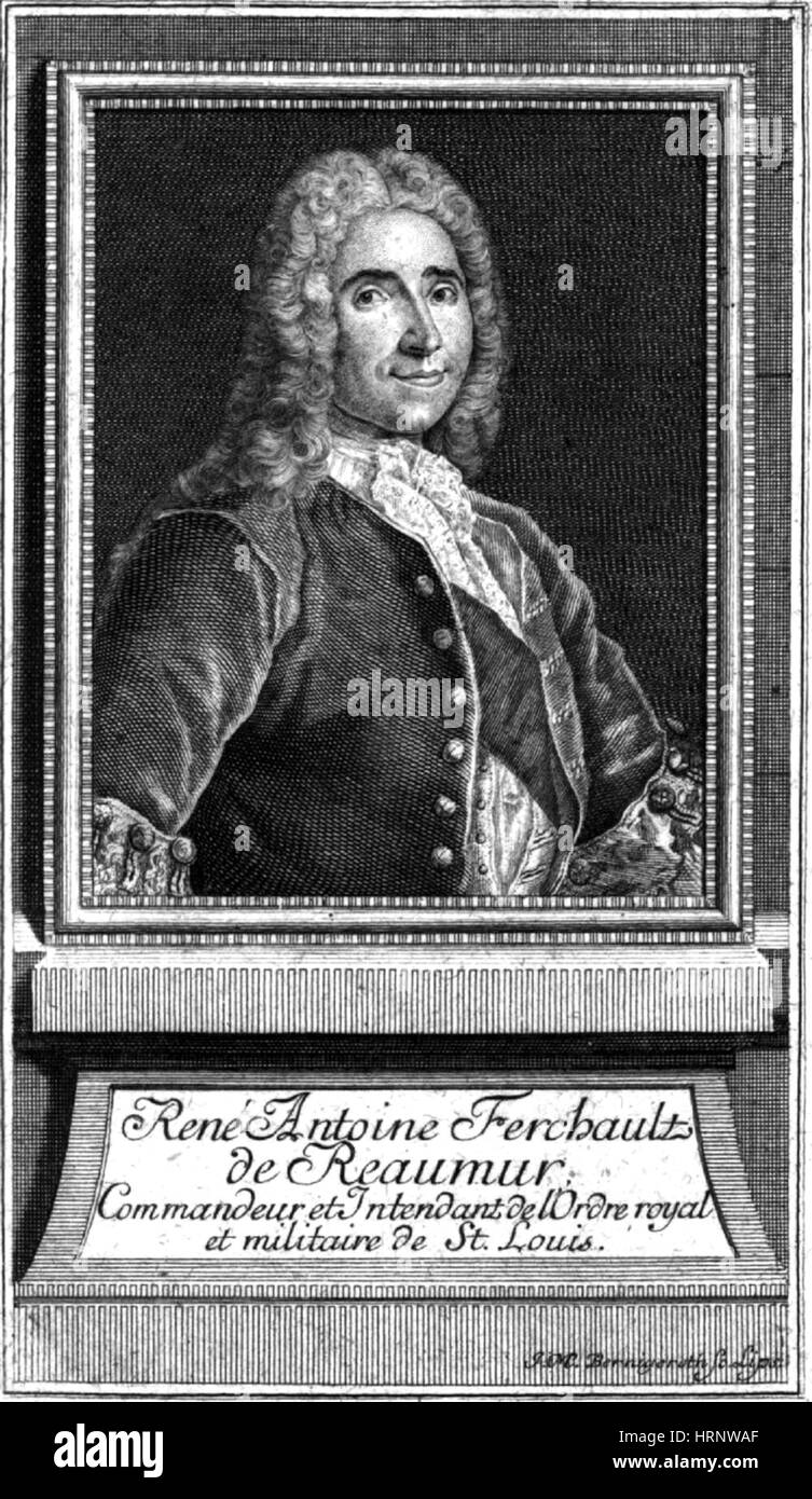 Ren̩ de R̩aumur, French Polymath Stock Photo