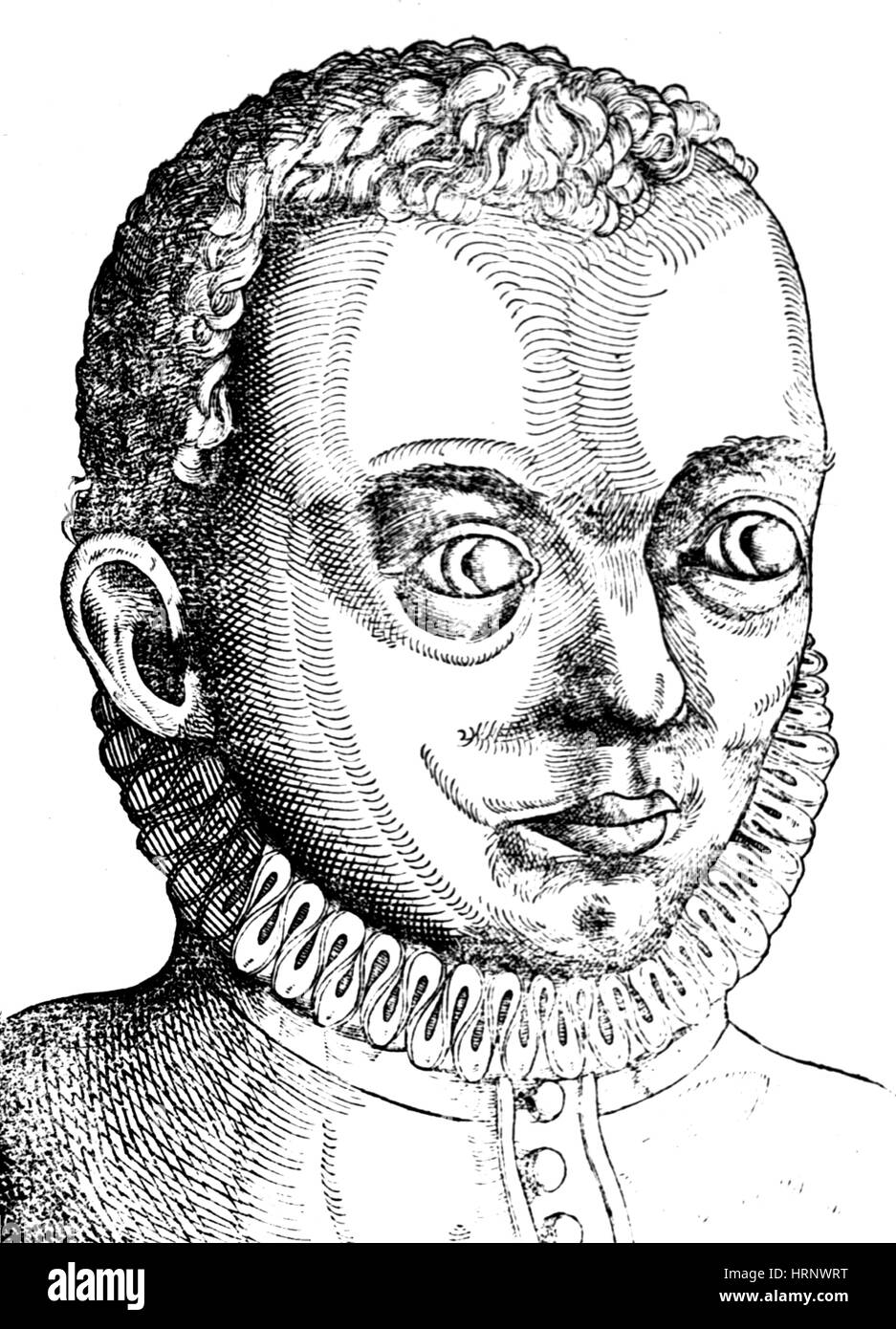 Angular Pterygium, 1583 Stock Photo