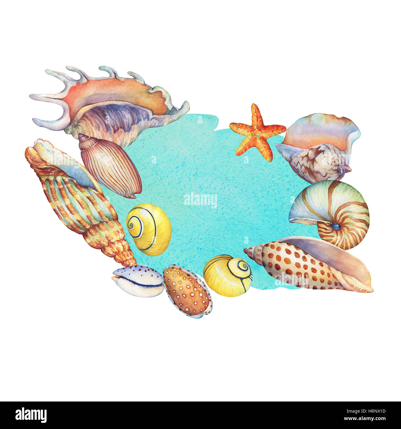 The circular composition with sea shells on a turquoise watercolor ...