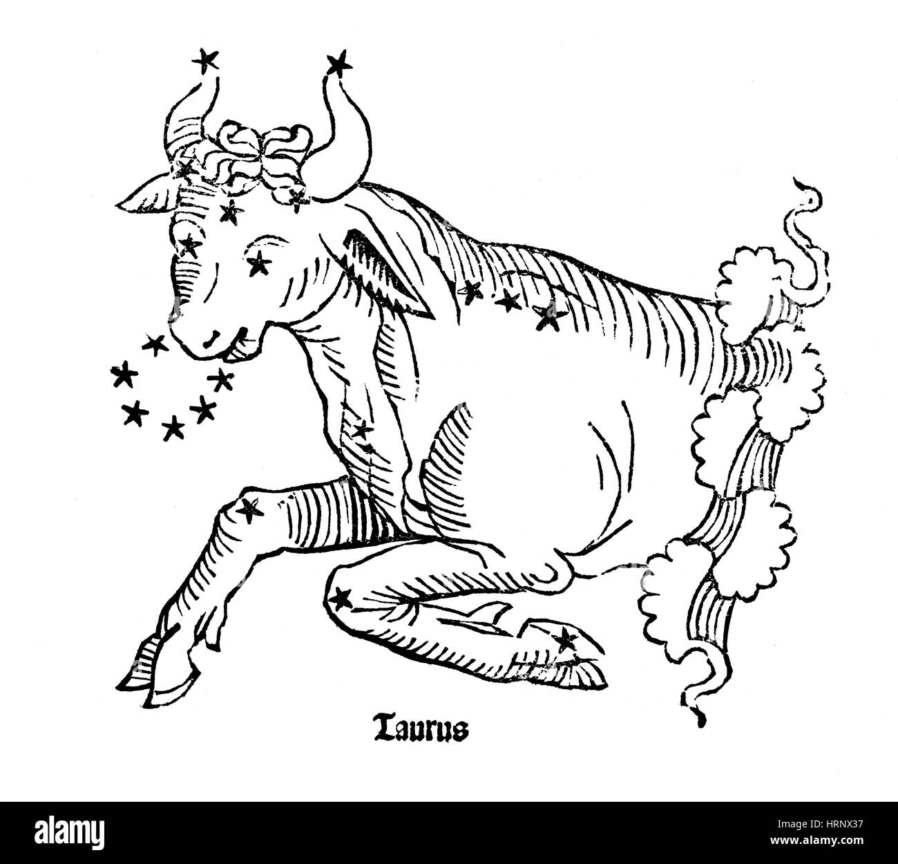 Taurus horoscope sign hires stock photography and images Alamy