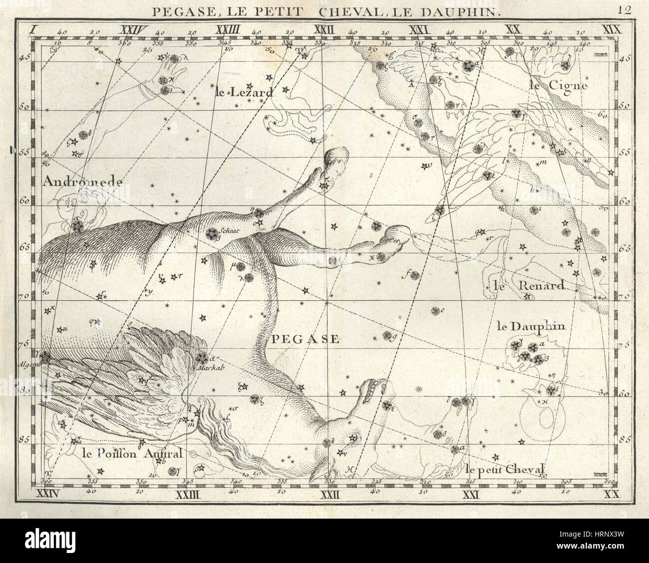 Pegasus, Equuleus and Delphinus Constellations Stock Photo