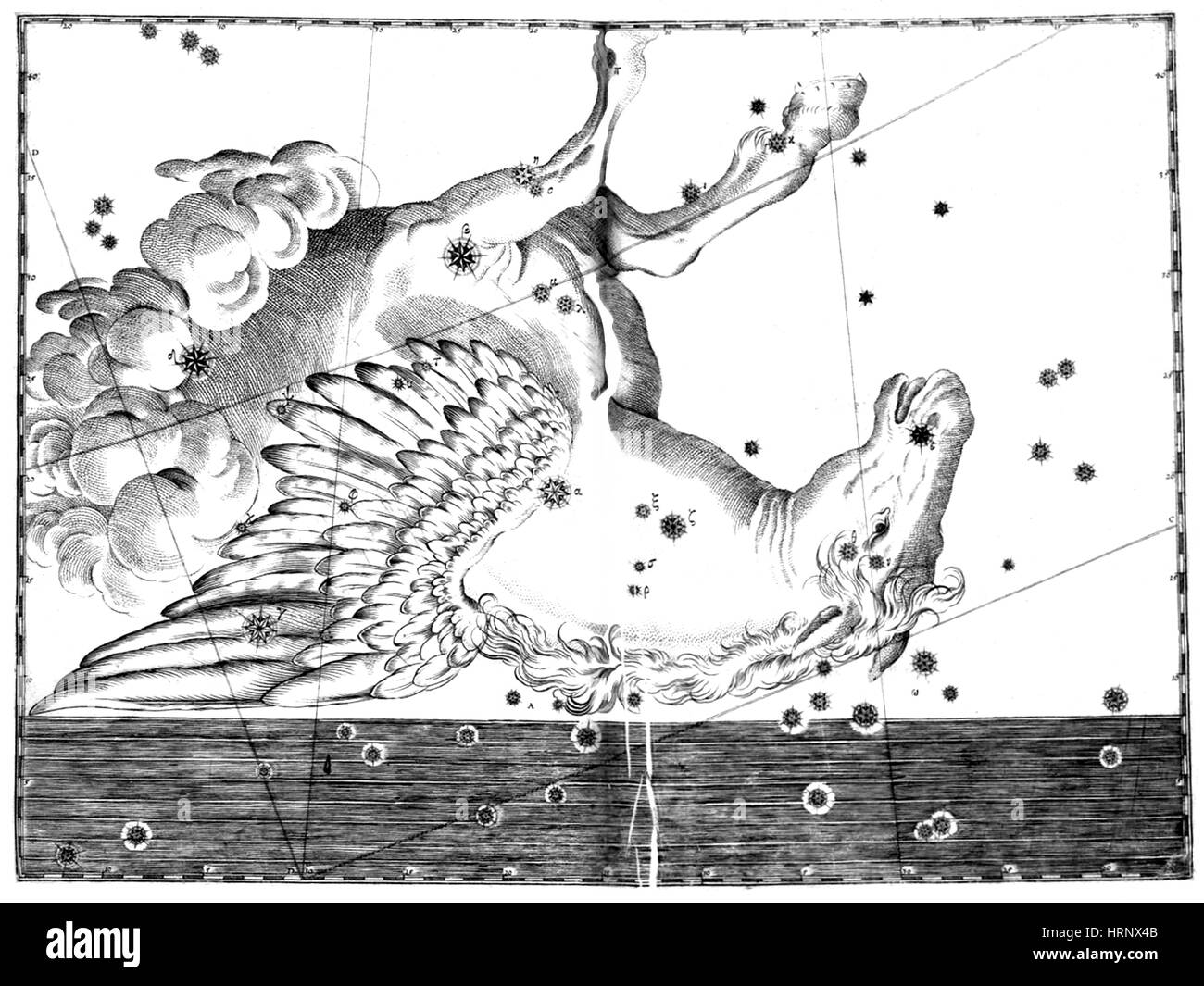 Pegasus Constellation, 1661 Stock Photo