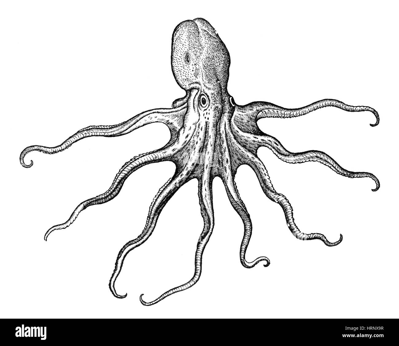 My Image 28