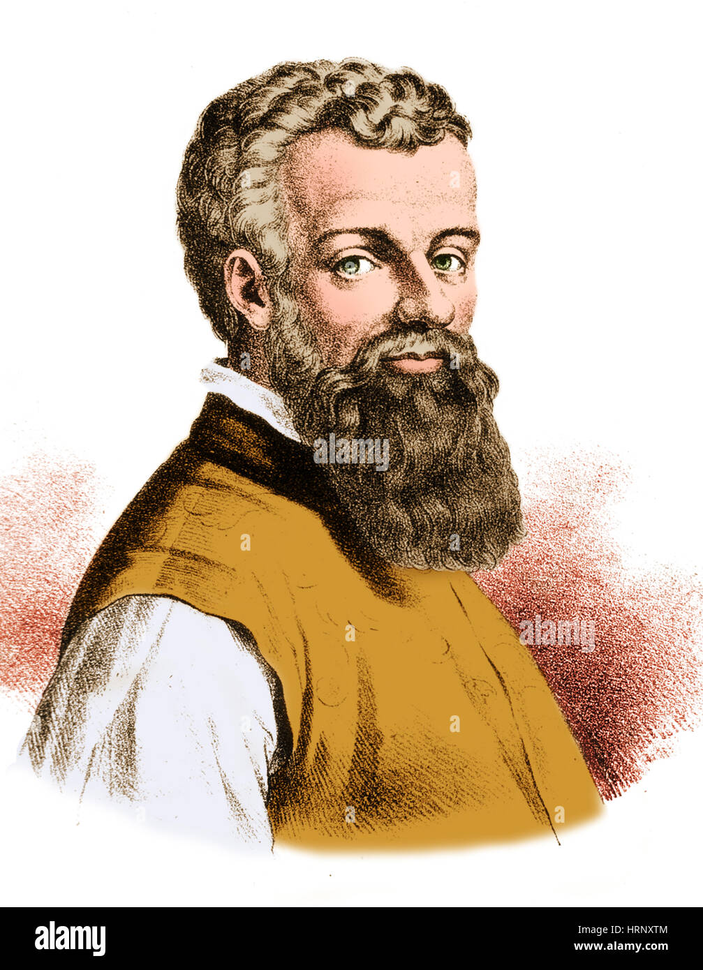 Andreas Vesalius, Flemish Anatomist Stock Photo