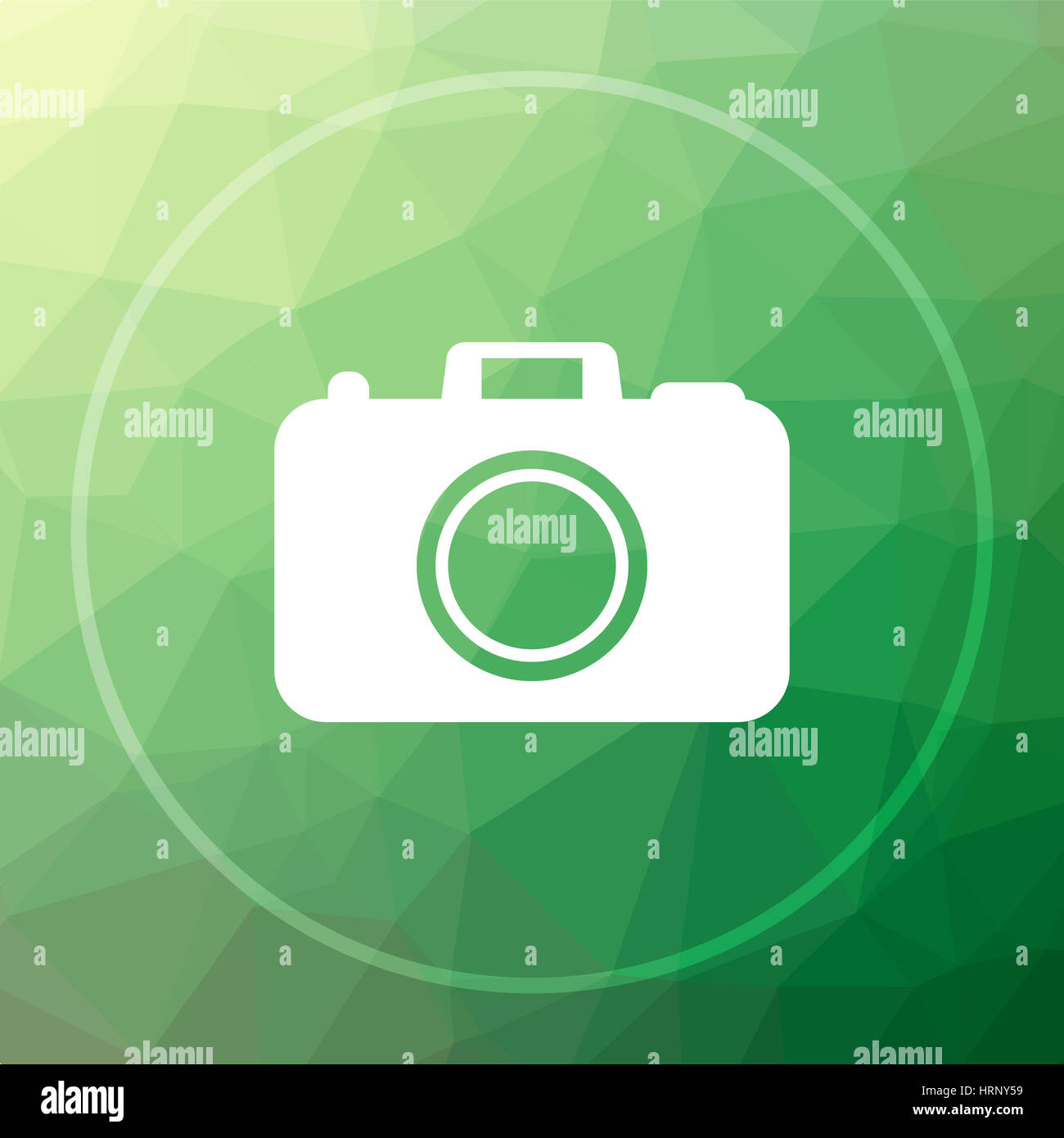Photo camera icon. Photo camera website button on green low poly