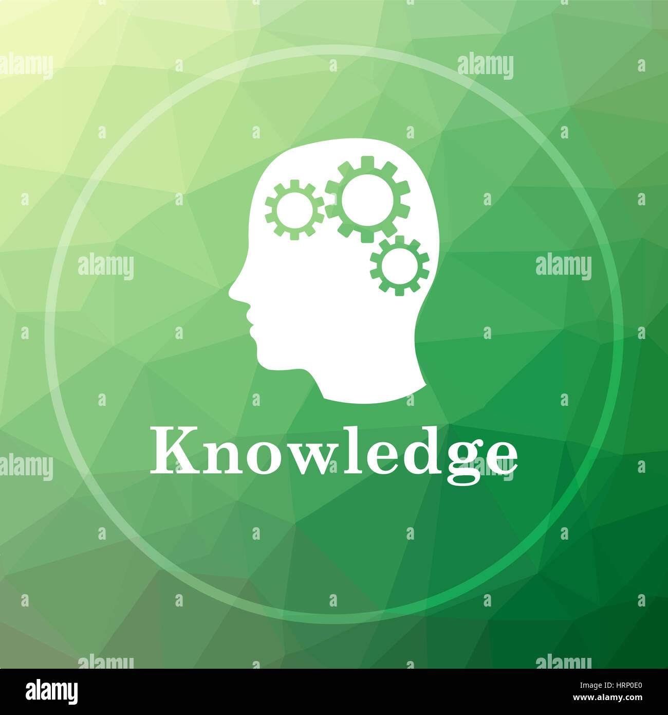 Knowledge icon. Knowledge website button on green low poly background ...