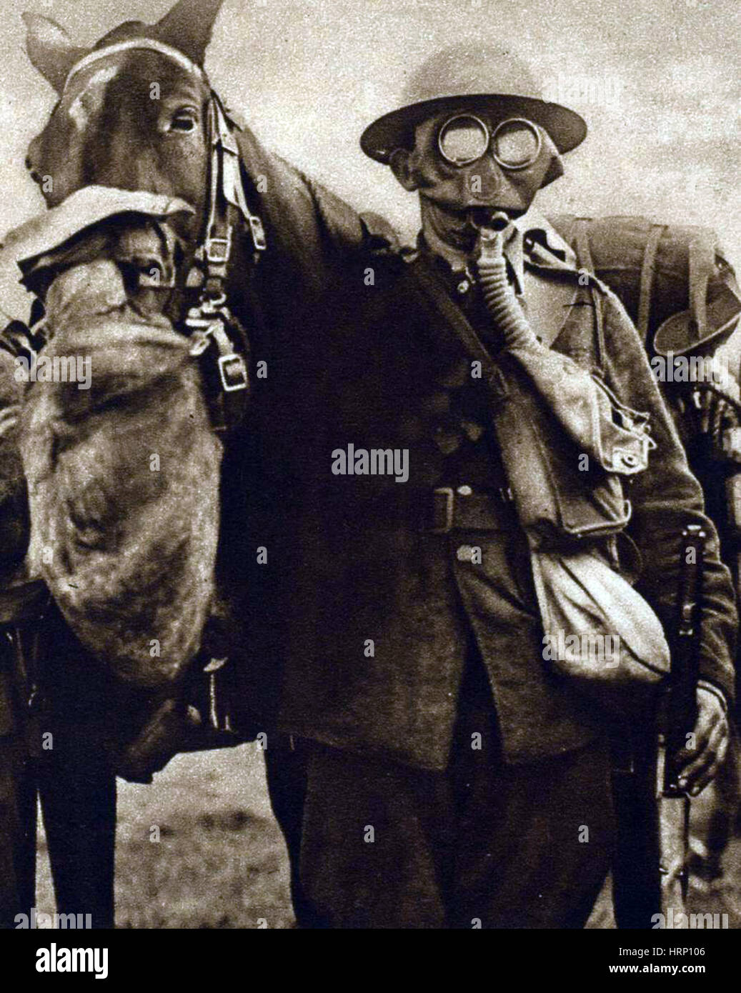 WWI, Gas Masks on British Soldier and Horse Stock Photo