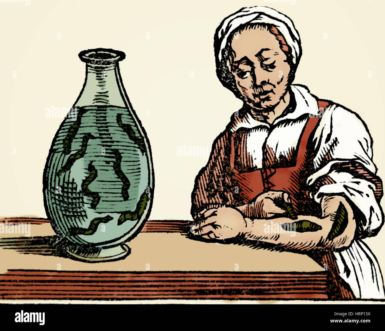 Bloodletting with leeches hires stock photography and images Alamy