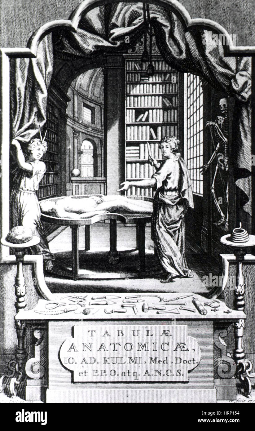 Frontispiece, Tabulae Anatomicae, 1792 Stock Photo