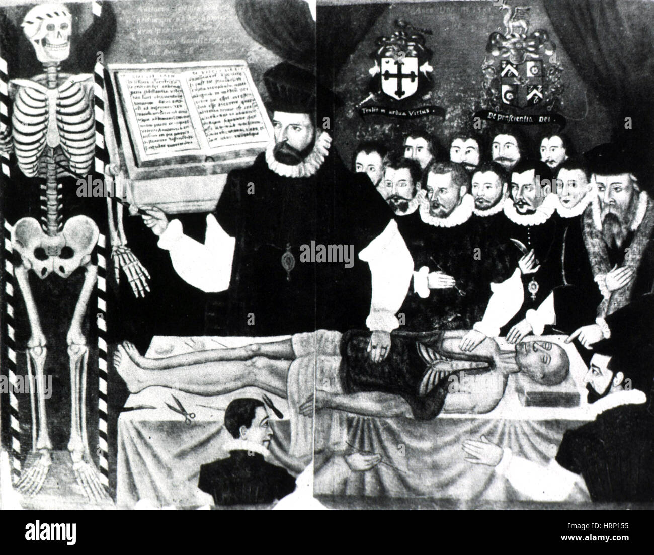 Anatomy class dissection 1581 hires stock photography and images Alamy