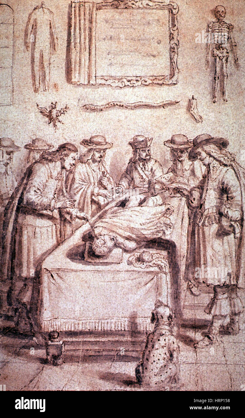 Anatomy Class Dissection, 1665 Stock Photo Alamy