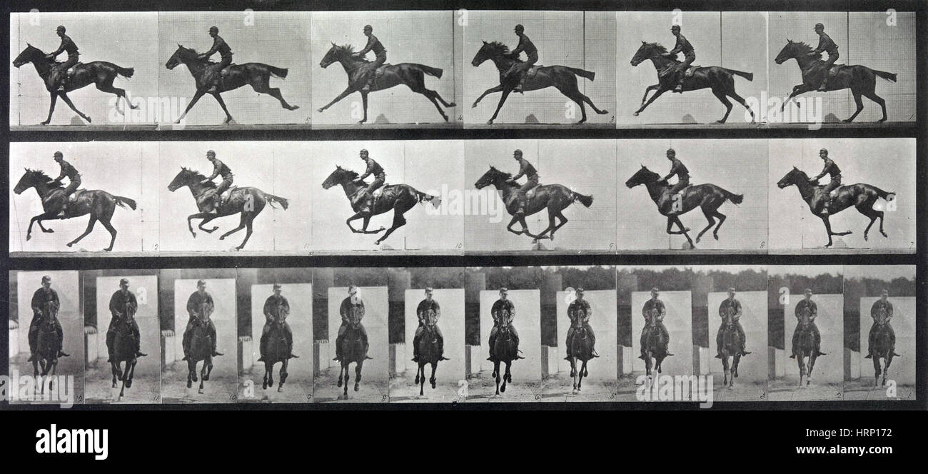 Animal Locomotion, Horse and Rider Gallop, 1887 Stock Photo
