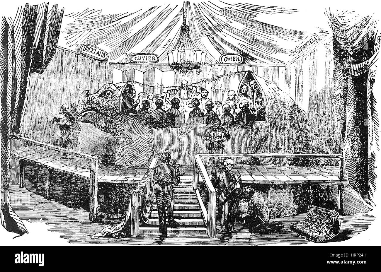 New Years Eve Dinner Inside Iguanodon, 1853 Stock Photo