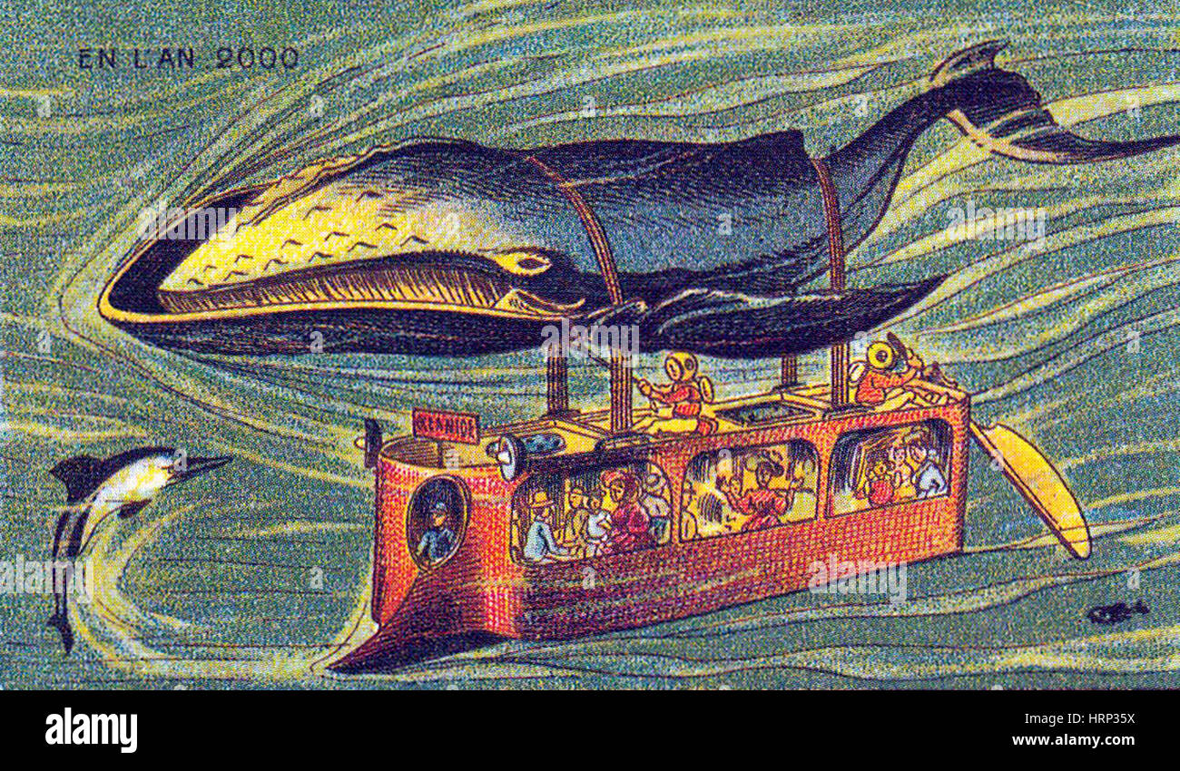 Whale Bus, 1900s French Postcard Stock Photo