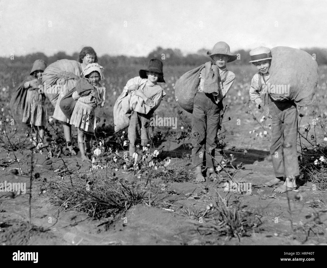 Texas Cotton Pickers, 1913 Stock Photo