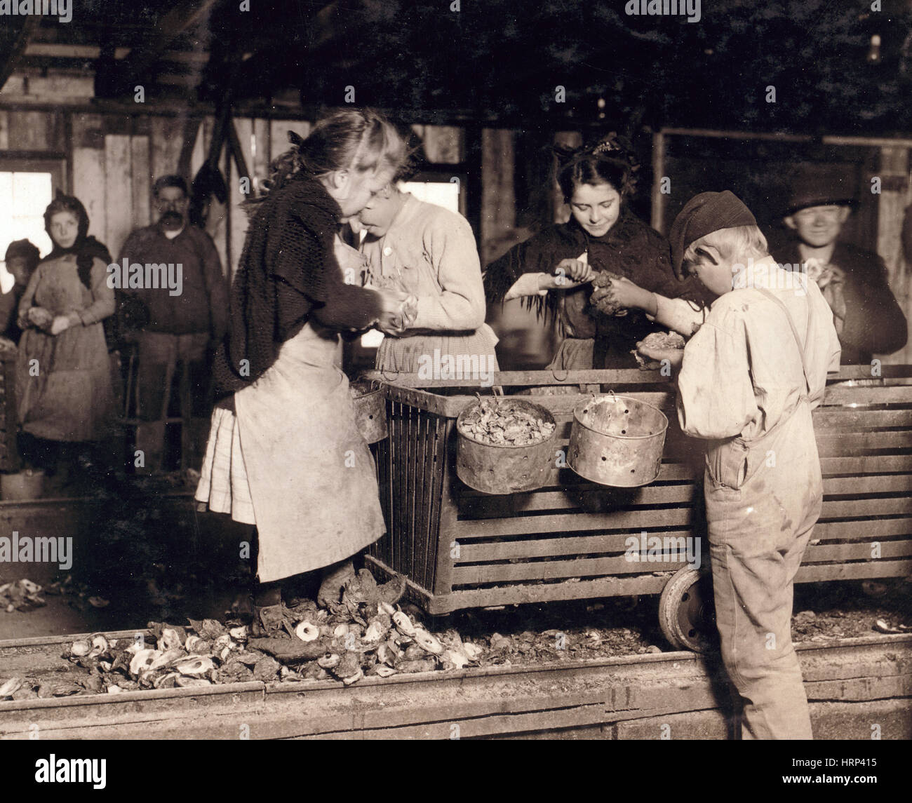 Alabama Oyster Shucker, 1911 Stock Photo