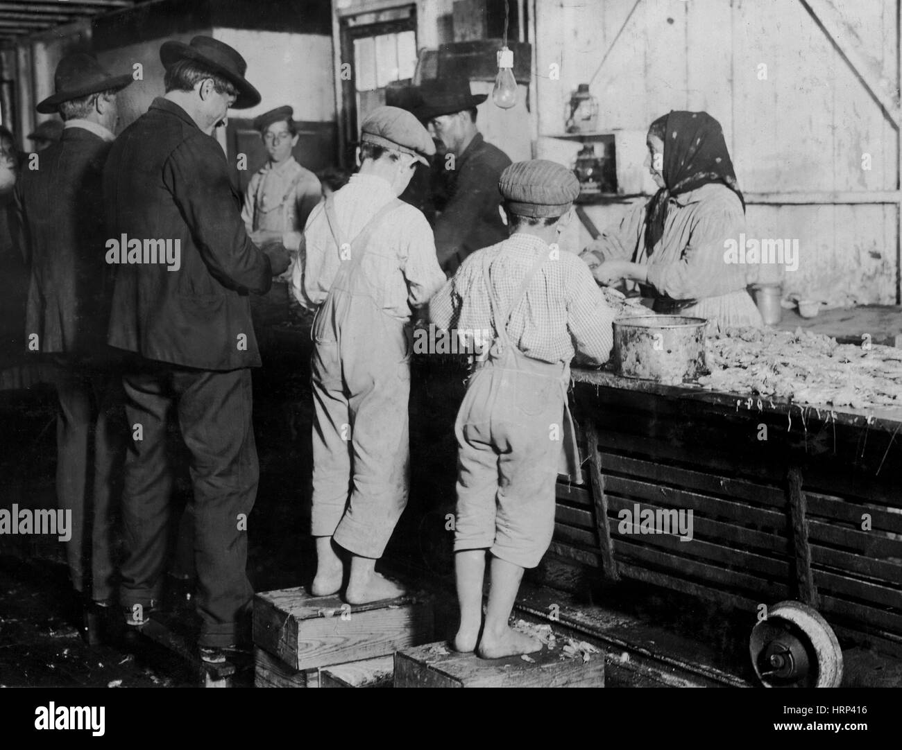 Mississippi Shrimp Pickers, 1911 Stock Photo