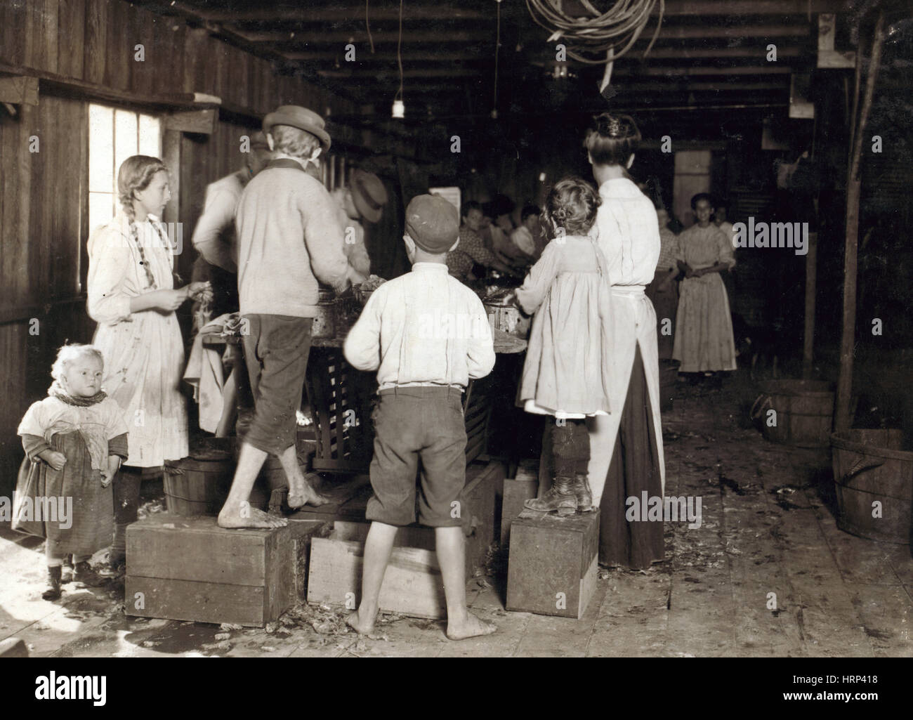 Mississippi Shrimp Pickers, 1911 Stock Photo