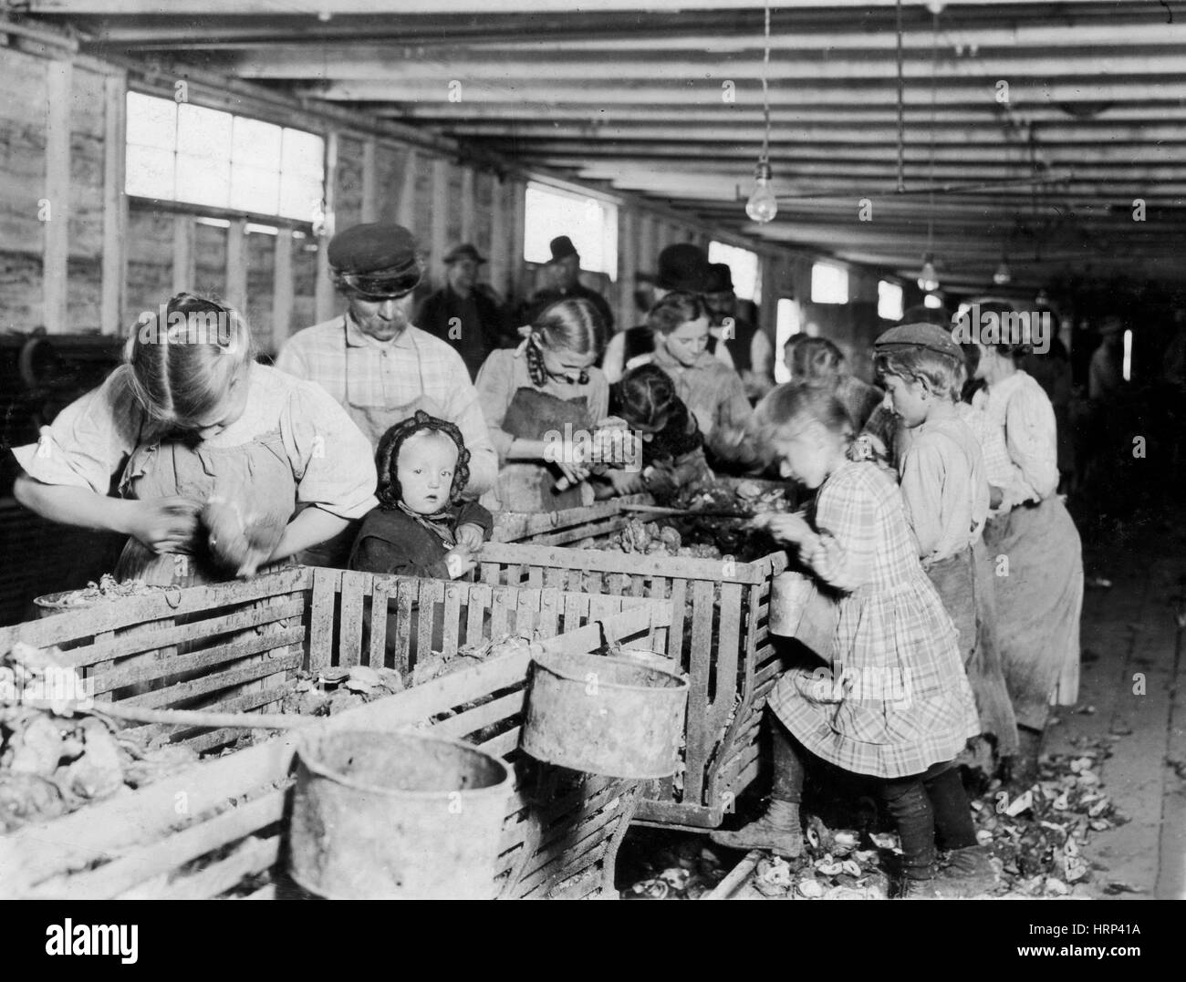 Louisiana Oyster Shuckers, 1911 Stock Photo