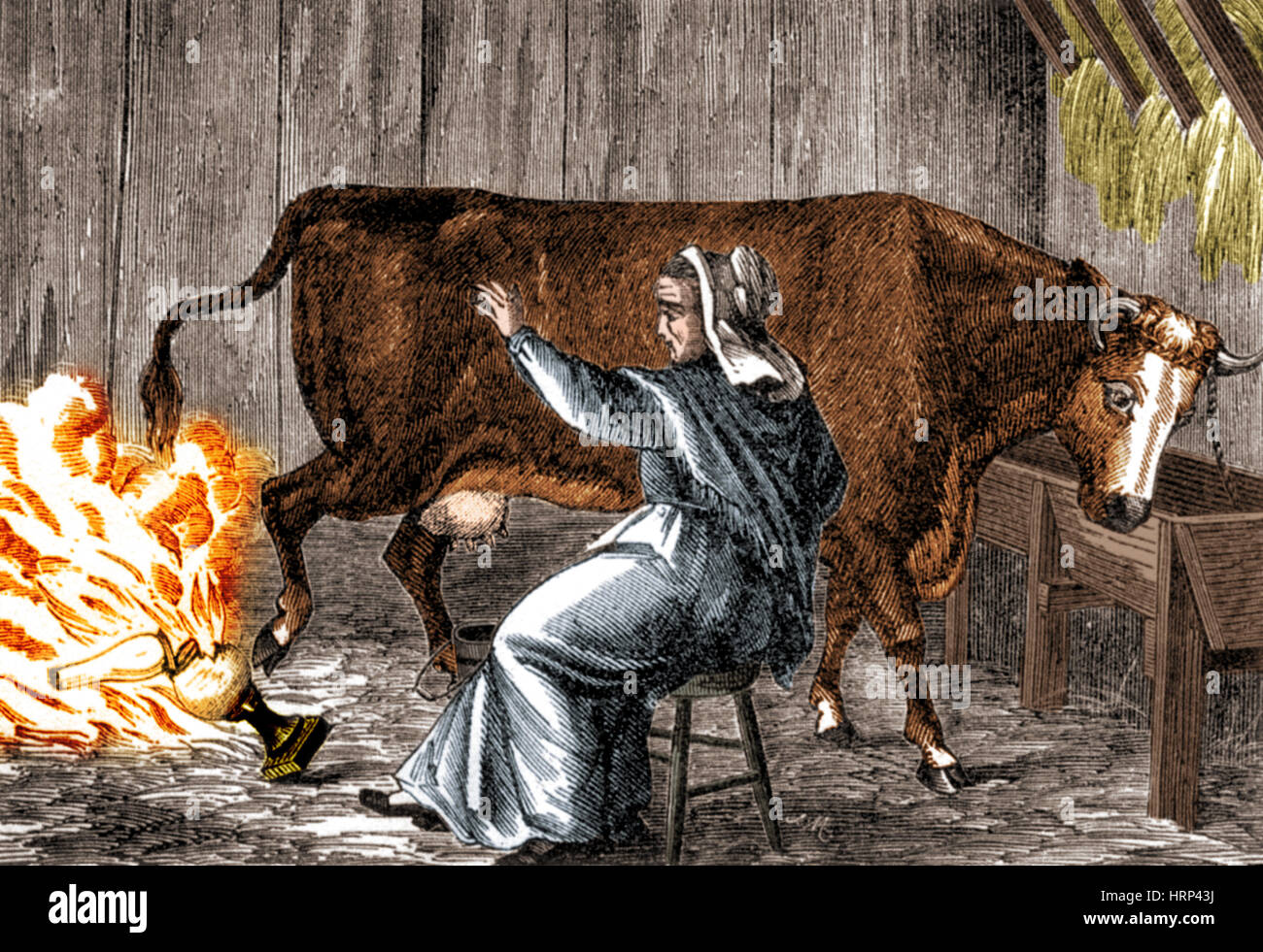 Mrs. O'Leary's Cow, The Great Chicago Fire, 1871 Stock Photo Alamy