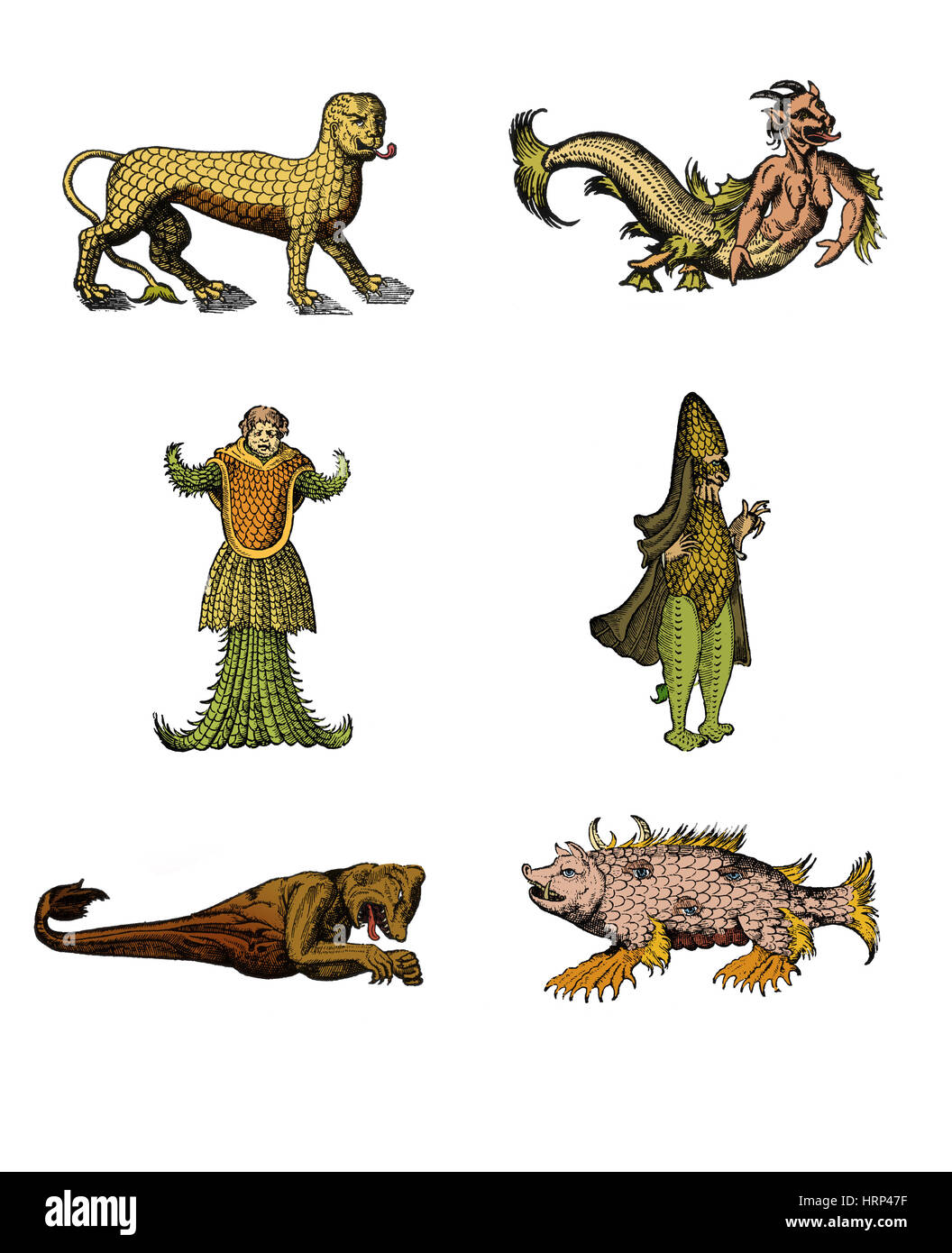 Sea Monsters Stock Photo