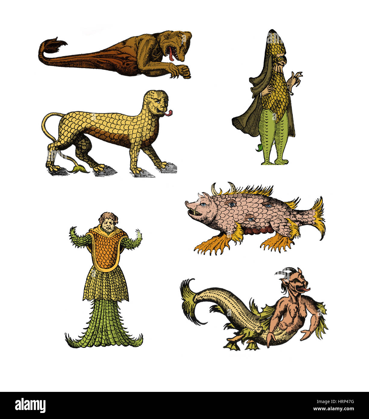 Sea Monsters Stock Photo