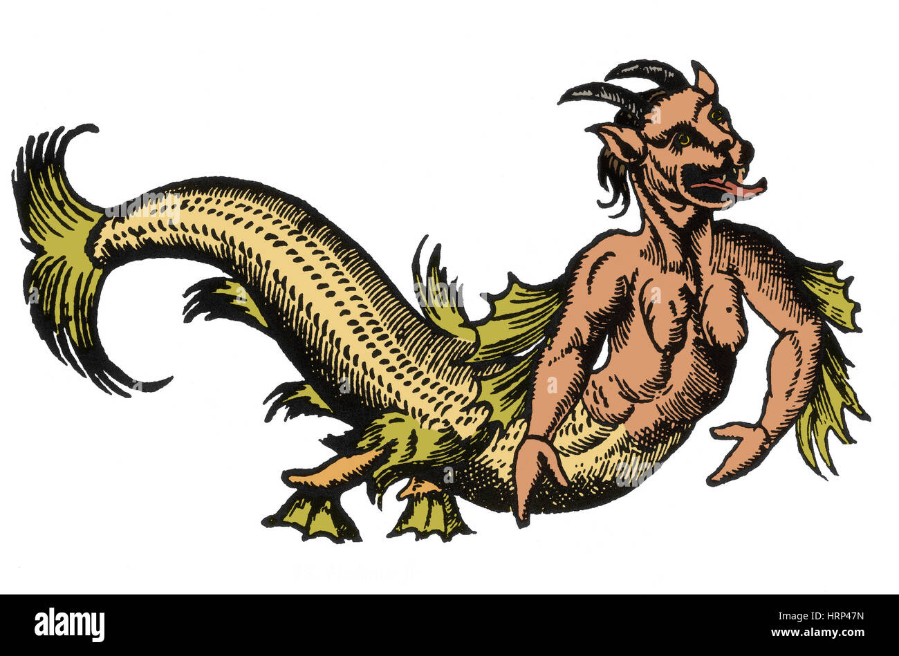 Sea-Devil, Legendary Monster, 16th Century Stock Photo
