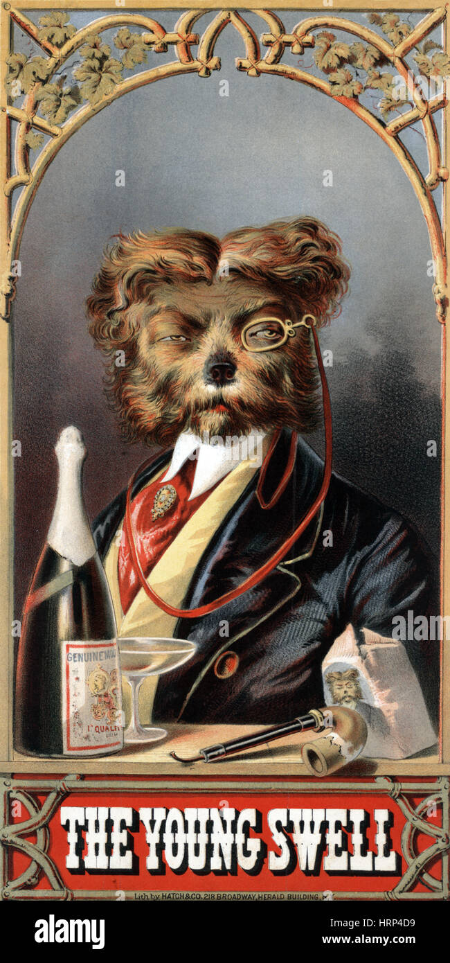 The Young Swell, Aristocratic Dog, 1869 Stock Photo