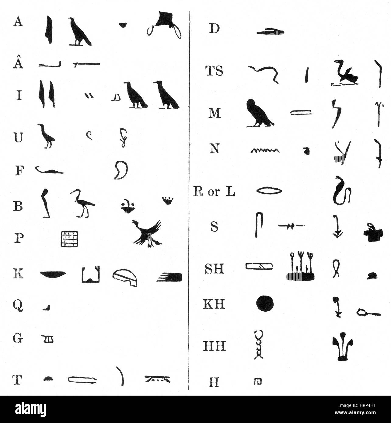Egyptian Hieroglyphs Stock Photo