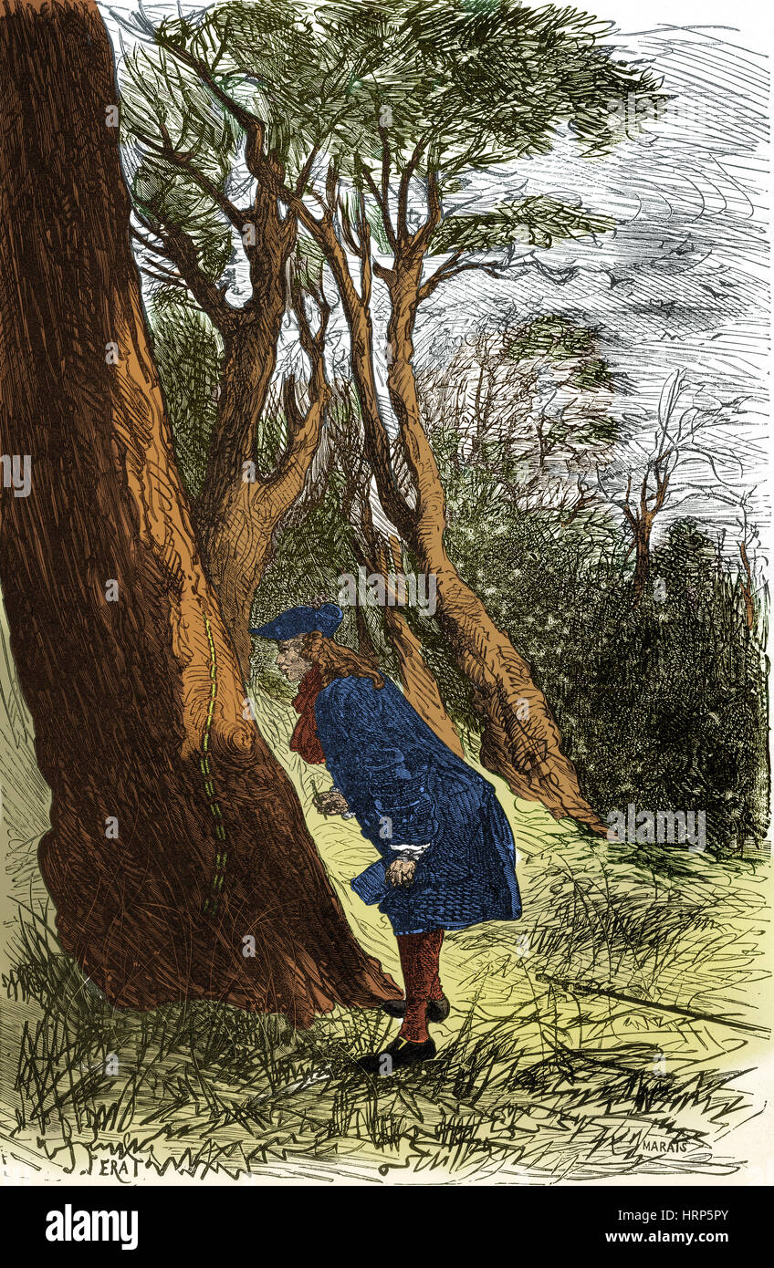 R̩aumur Studying Insects, 18th Century Stock Photo