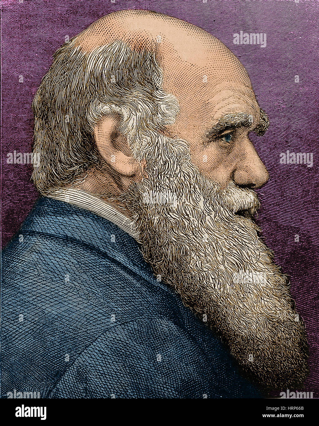 Charles Darwin, English Naturalist Stock Photo