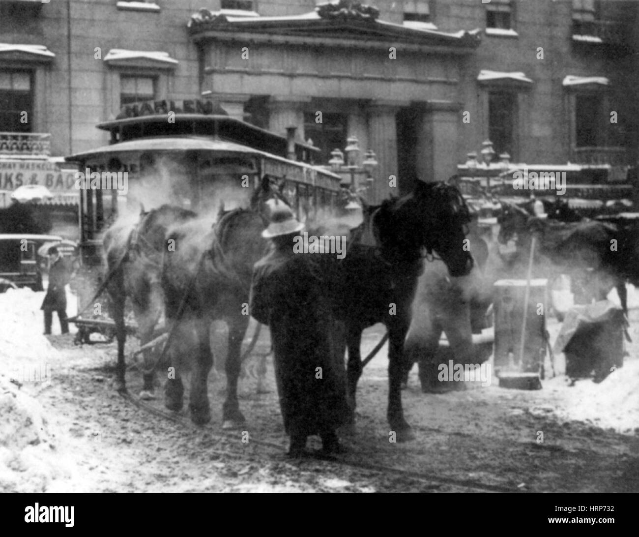 NYC, Horses Pulling Harlem Streetcar, 1892 Stock Photo
