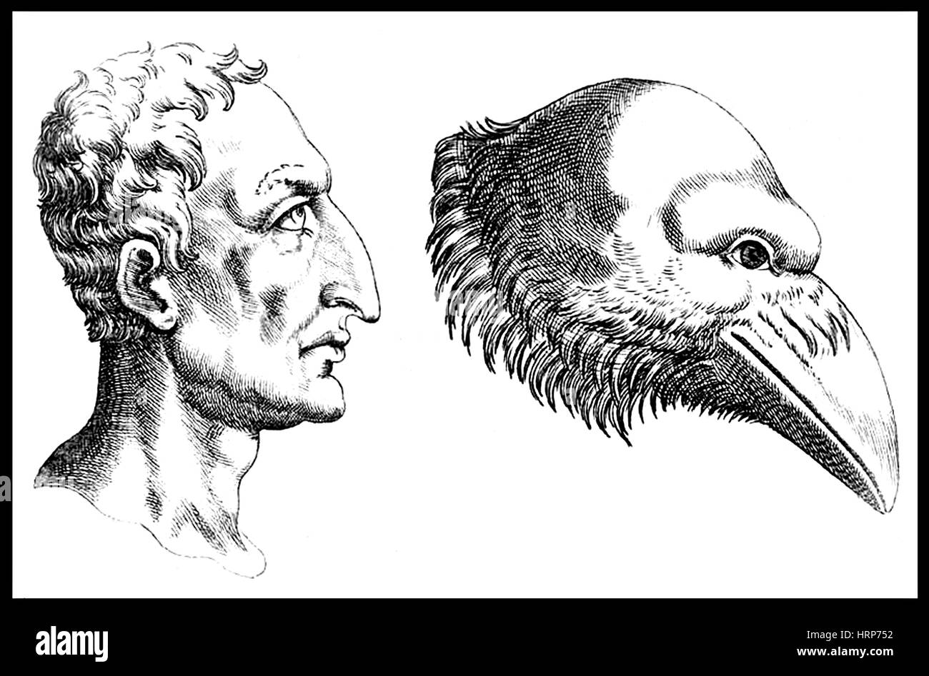 Man and Crow, 'De humana physiognomonia', 1586 Stock Photo